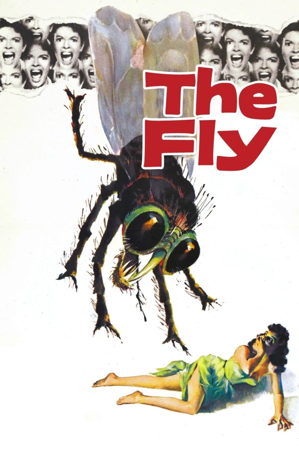 Xem Phim The Fly Full
