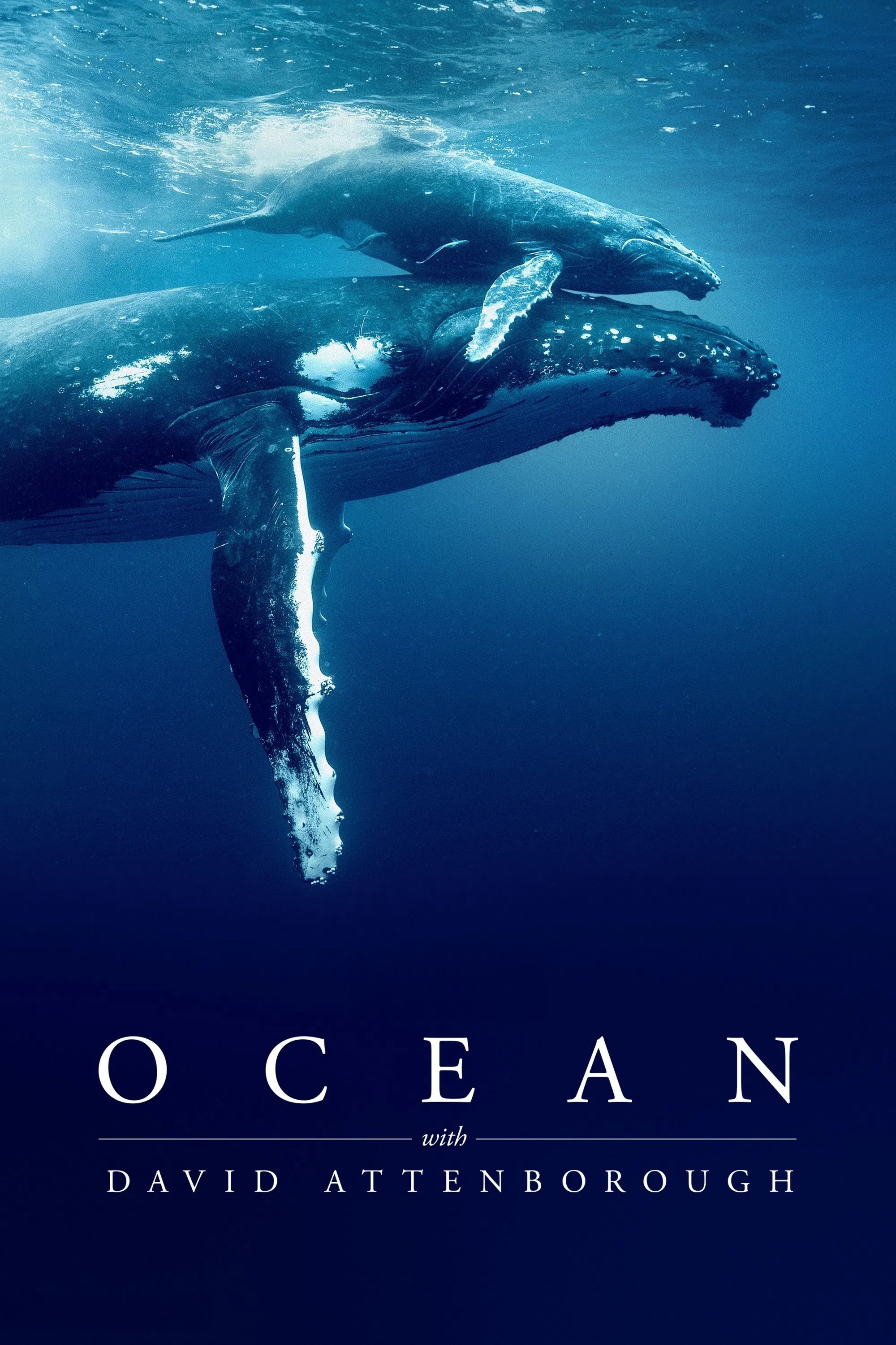 Xem Phim Ocean with David Attenborough Full